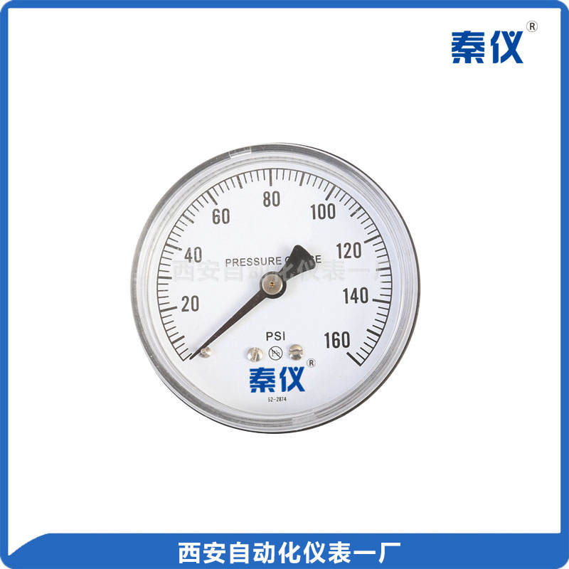 無(wú)鉛普通壓力表