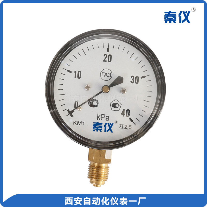 YE-60膜盒壓力表