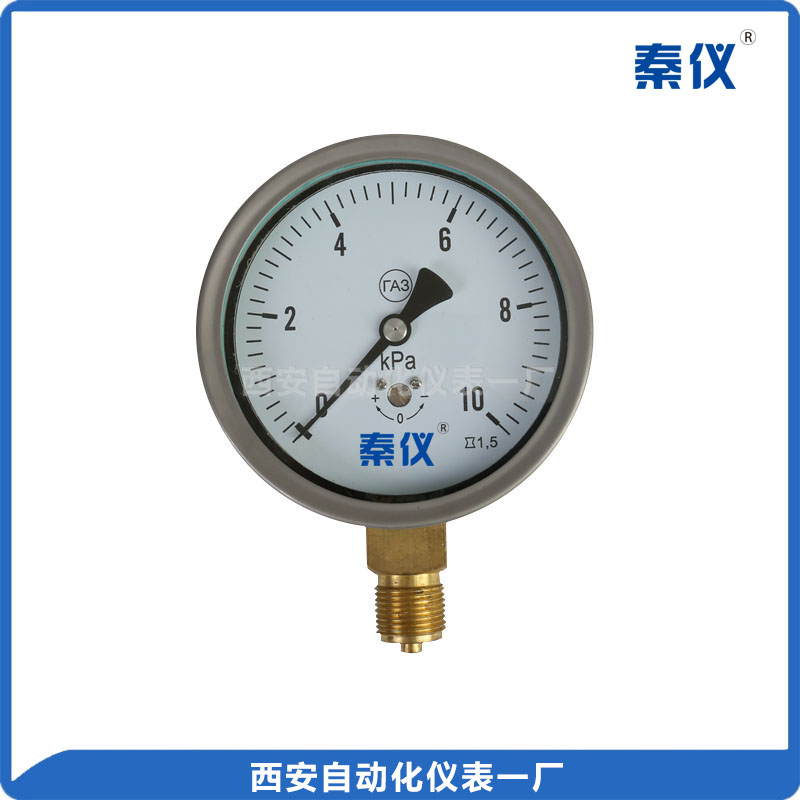 YE-100B膜盒壓力表
