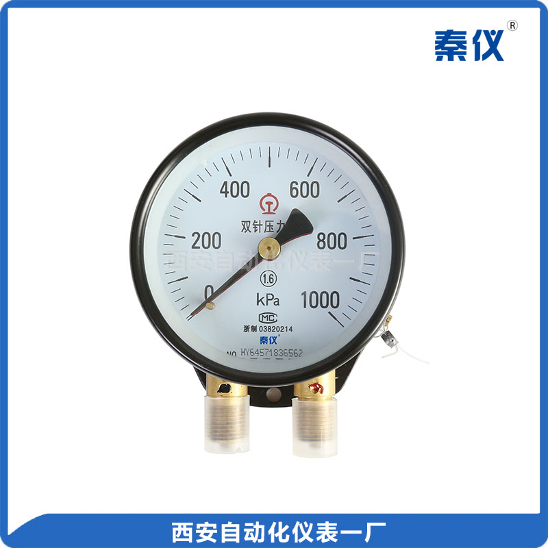 YZS-102 雙針壓力表