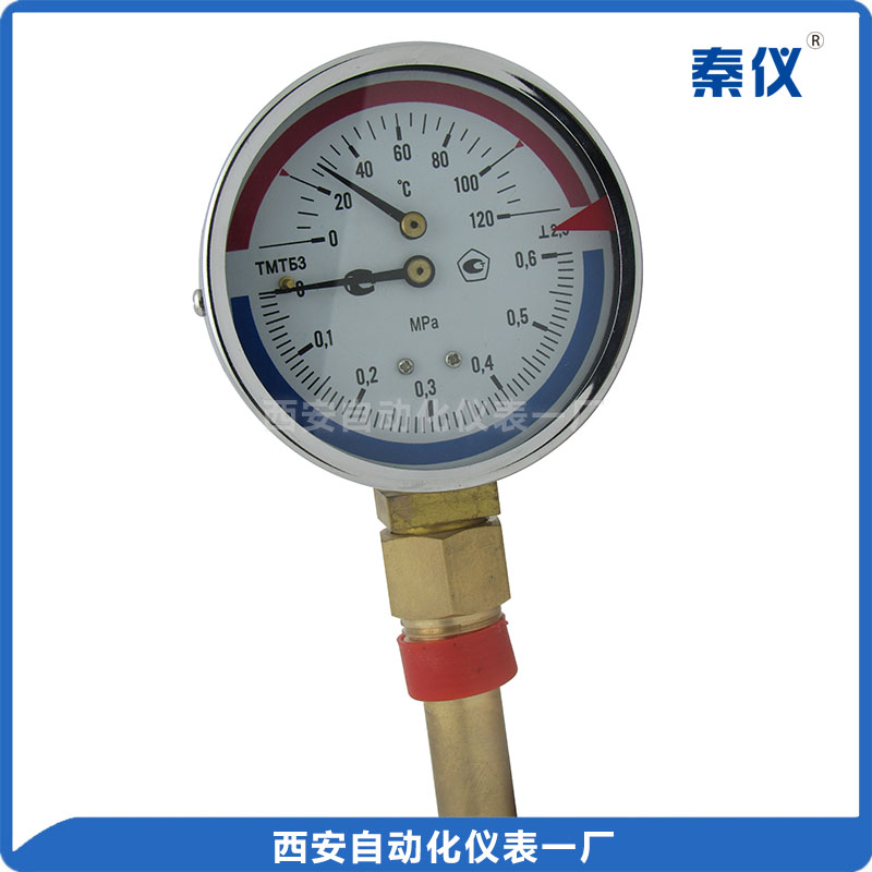 溫度-壓力兩用表