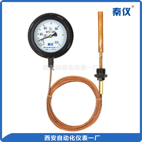 WTZ、WTQ 系列壓力式溫度計(jì)
