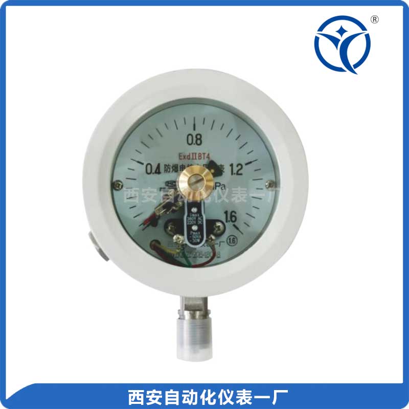 西安YX-100B