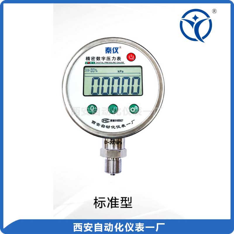 DP-100數(shù)字壓力表